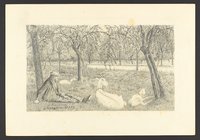 Am Baum sitzender alter Mann und drei ruhende Ziegen