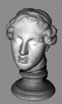 Sog. schöner Kopf aus Pergamon